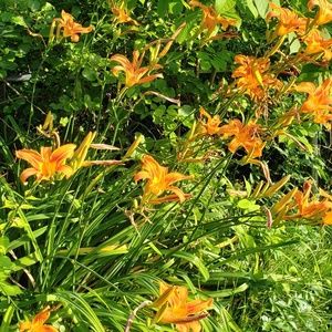 Meet your Posher, Michele